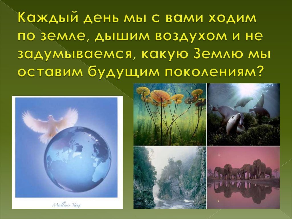 Три значительных факта о нашей планете