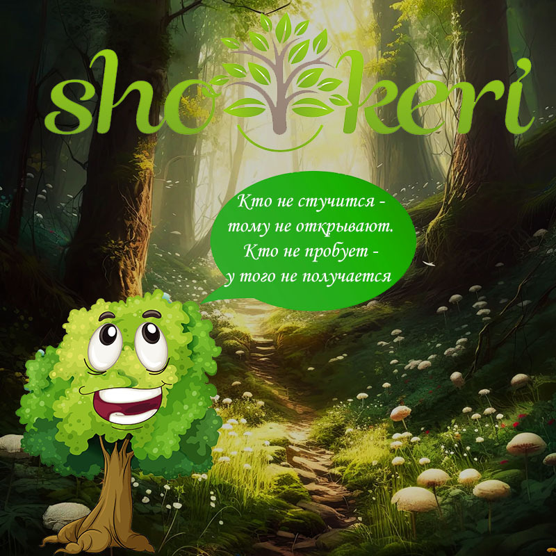 Плюсы и минусы наличия нескольких личных банковских счетов