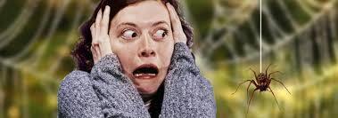 Фобии - это страхи, которые могут нарушать нашу жизнь.