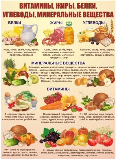 🥗Принципы правильного питания. Правильное питание для похудения.