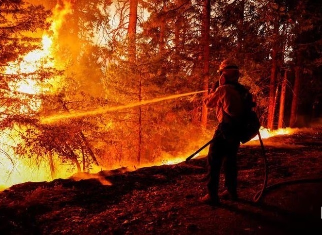 Климатическая бомба замедленного действия тикает, необходимо срочно сократить выбросы, говорит глава ООН