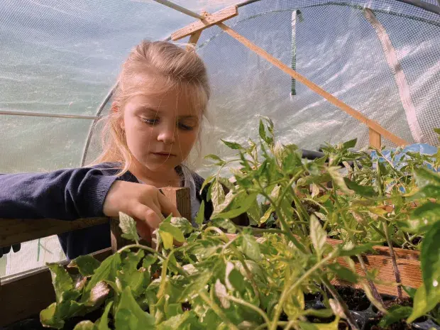 ФАНТАСТИКА Мы продали все, что у нас было, чтобы жить в старом микроавтобусе - мы экономим £2,000 в месяц на аренде и счетах.