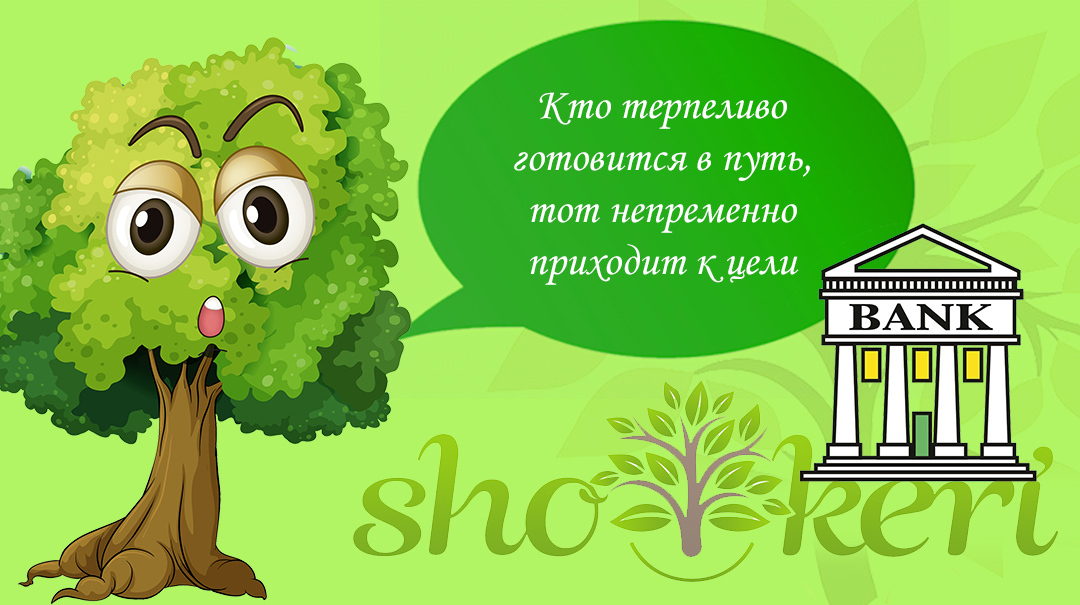 Плюсы и минусы наличия нескольких личных банковских счетов