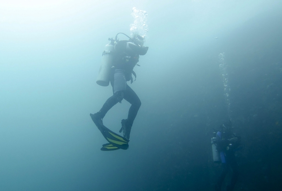 Улики на яхте «Андромеда»: что нового узнали о подрыве «Северных потоков»