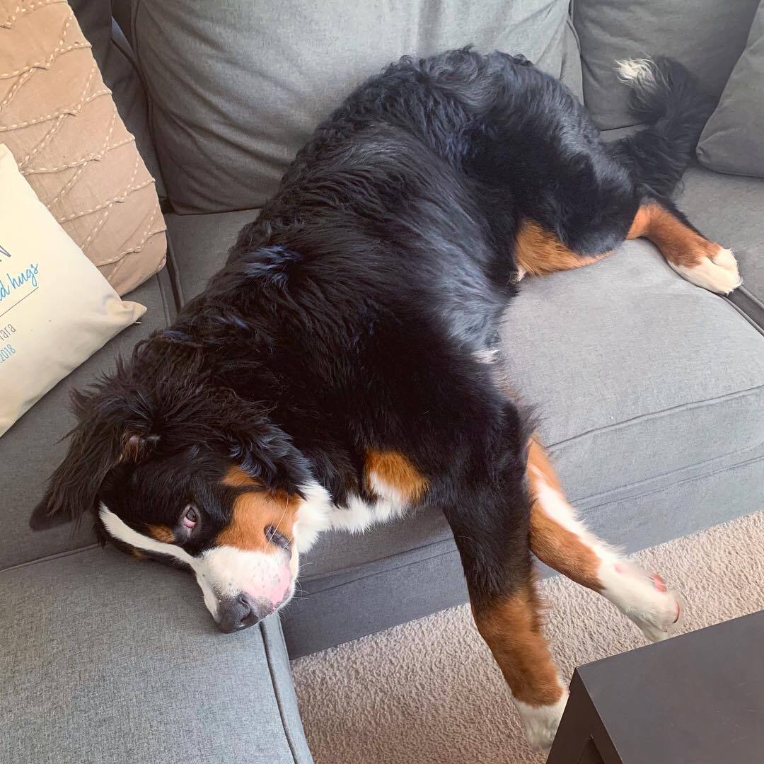 Найди «виновного», он должен ответить. Мистика. Часть 2.