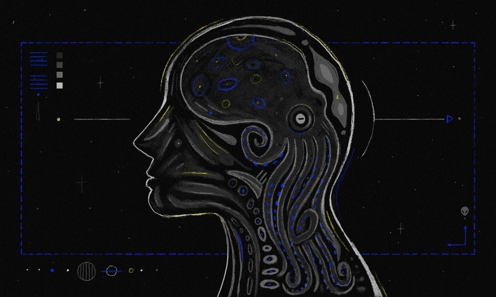 Если вы хотите узнать, какими будут инопланетяне, просто посмотрите на осьминога.