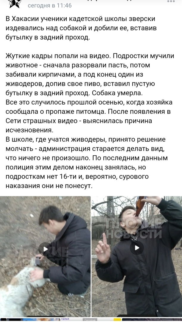 О мерзких кадетах замолвили слово