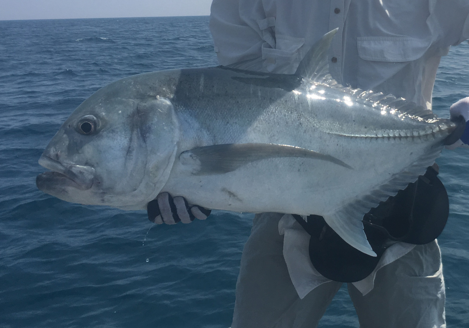 Мальдивы. Не забываемое посещение рыбацкого острова Thuladoo
