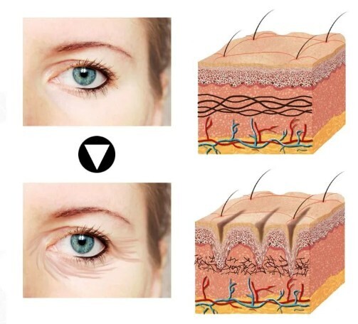 🧬Что такое коллаген? Для чего коллаген организму? Нужно ли пить коллаген для кожи и суставов?💊🔬
