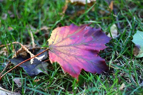 Зимний суп из кабачков с гренками грюйер