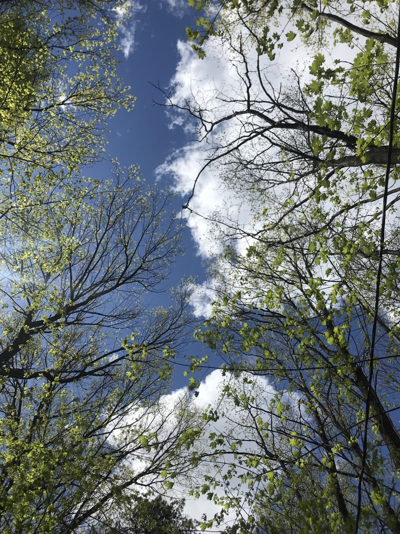 Месяц май - это Первомай, это день Радио, это праздник 9 Мая, и это просто месяц,