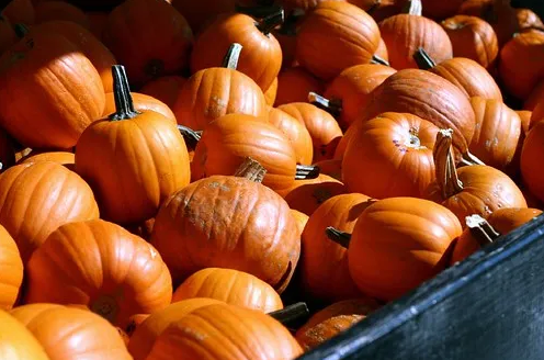 Зимний суп из кабачков с гренками грюйер