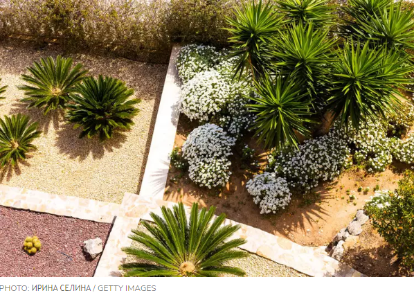 Тренд 2 - Вертикальное озеленение, которыЙ стоит попробовать на своем заднем дворе в этом году.