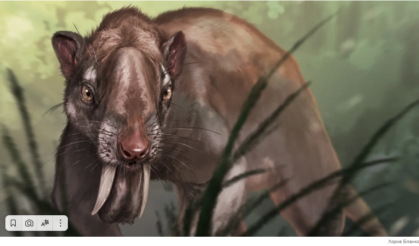 У "сумчатого саблезубого" были массивные клыки с корнями, которые росли над верхней частью черепа.