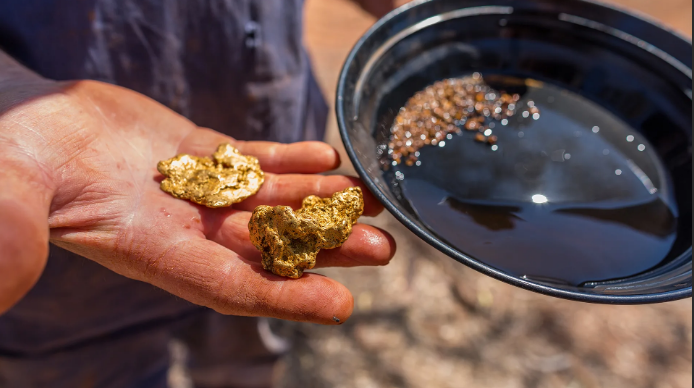 Частным лицам будет разрешено добывать золото.