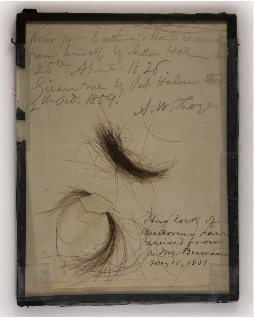 Геном Бетховена раскрывает тайны его плохого здоровья и ранней смерти