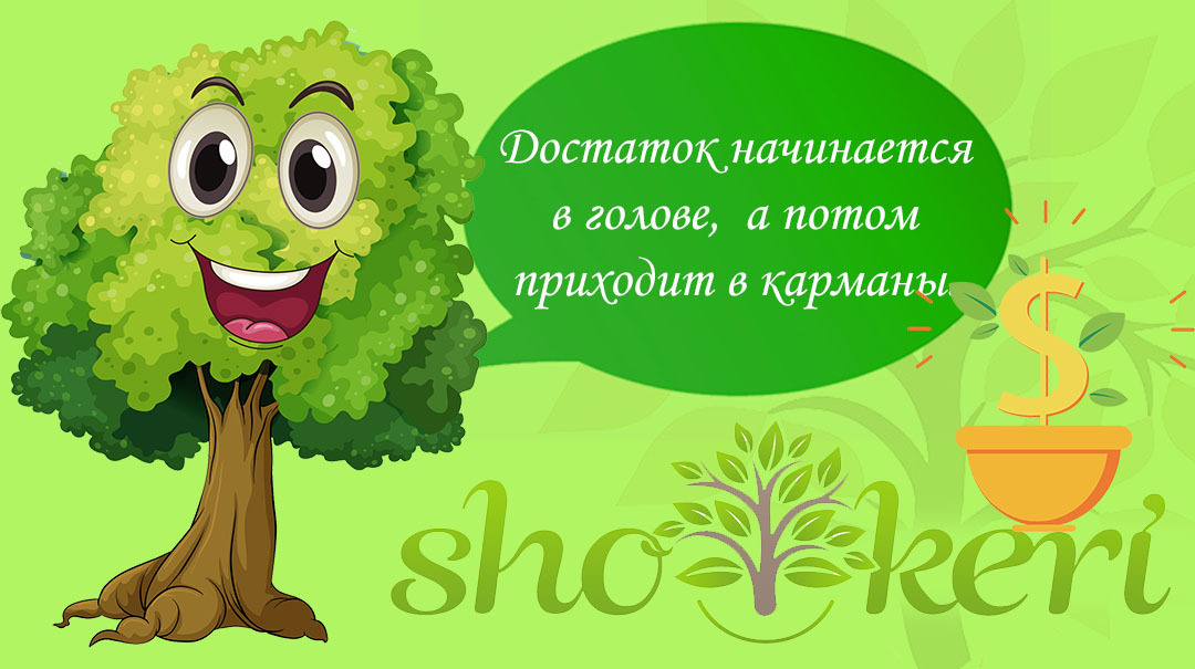 Что же за такое финансовое правило успеха "50/30/20"