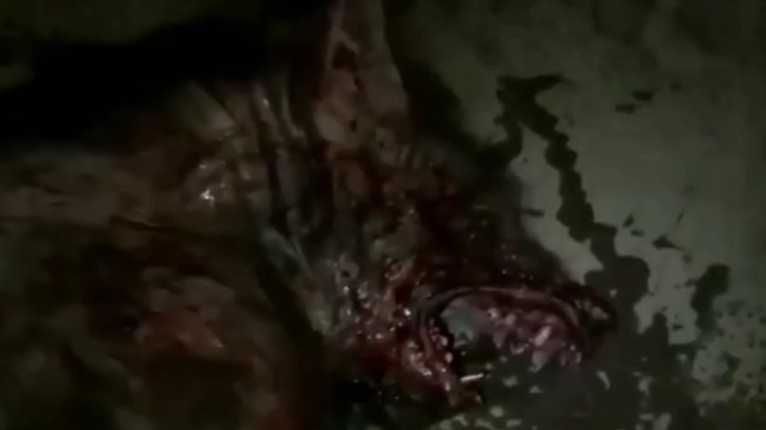 Интересные факты и версии. Часть 3.