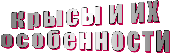 Сколько живут грызуны, такие как крысы.