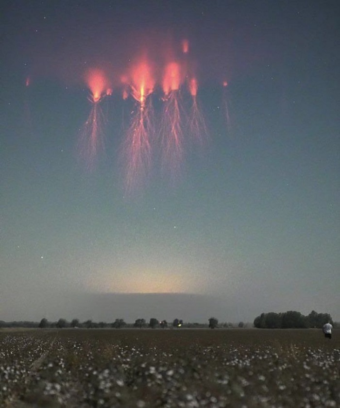 Интересные факты и версии. Часть 4.