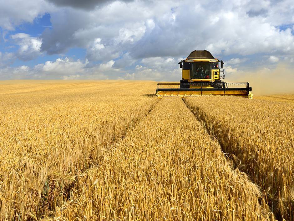 Урожай успеха: Как превратить бизнес с/х в прибыльный и устойчивый источник дохода