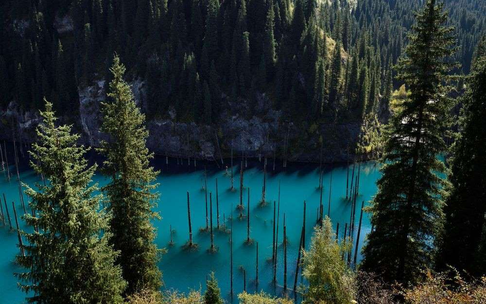 Захватывающее природное чудо в мире - подводный лес в озере Каинды.