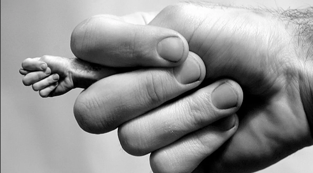 Алчность, жадность и скупость