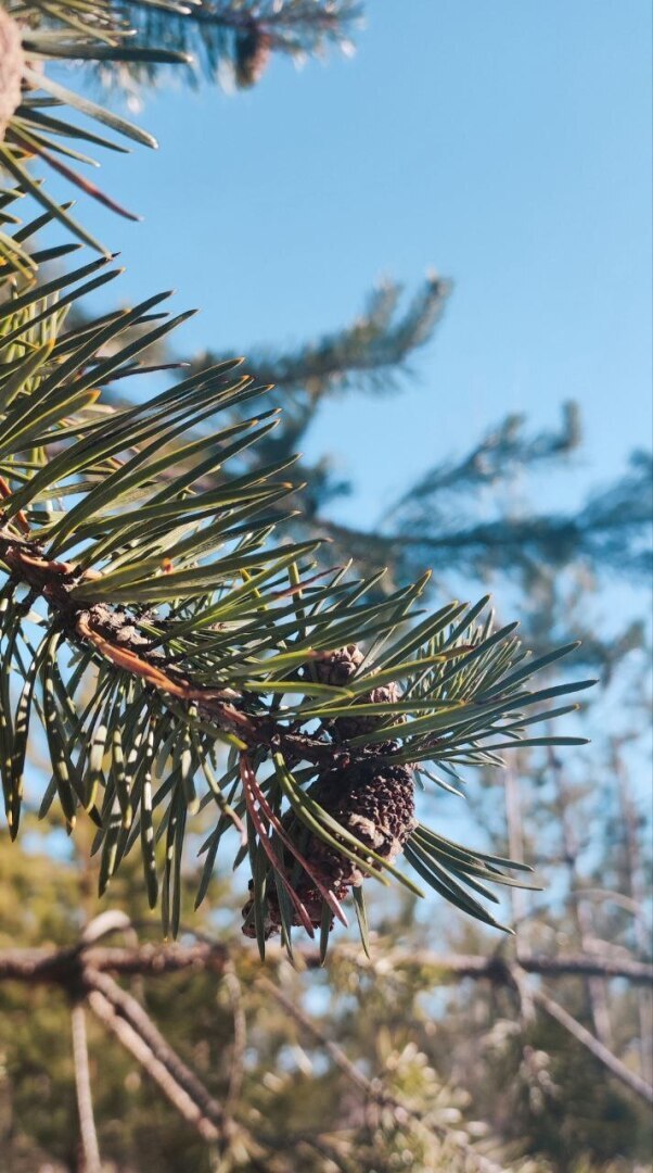 Приметы дня и именины.