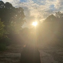 Резня, г. Москва