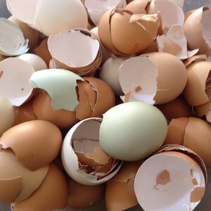 Чем полезна яичная скорлупа при лечении остеопороза