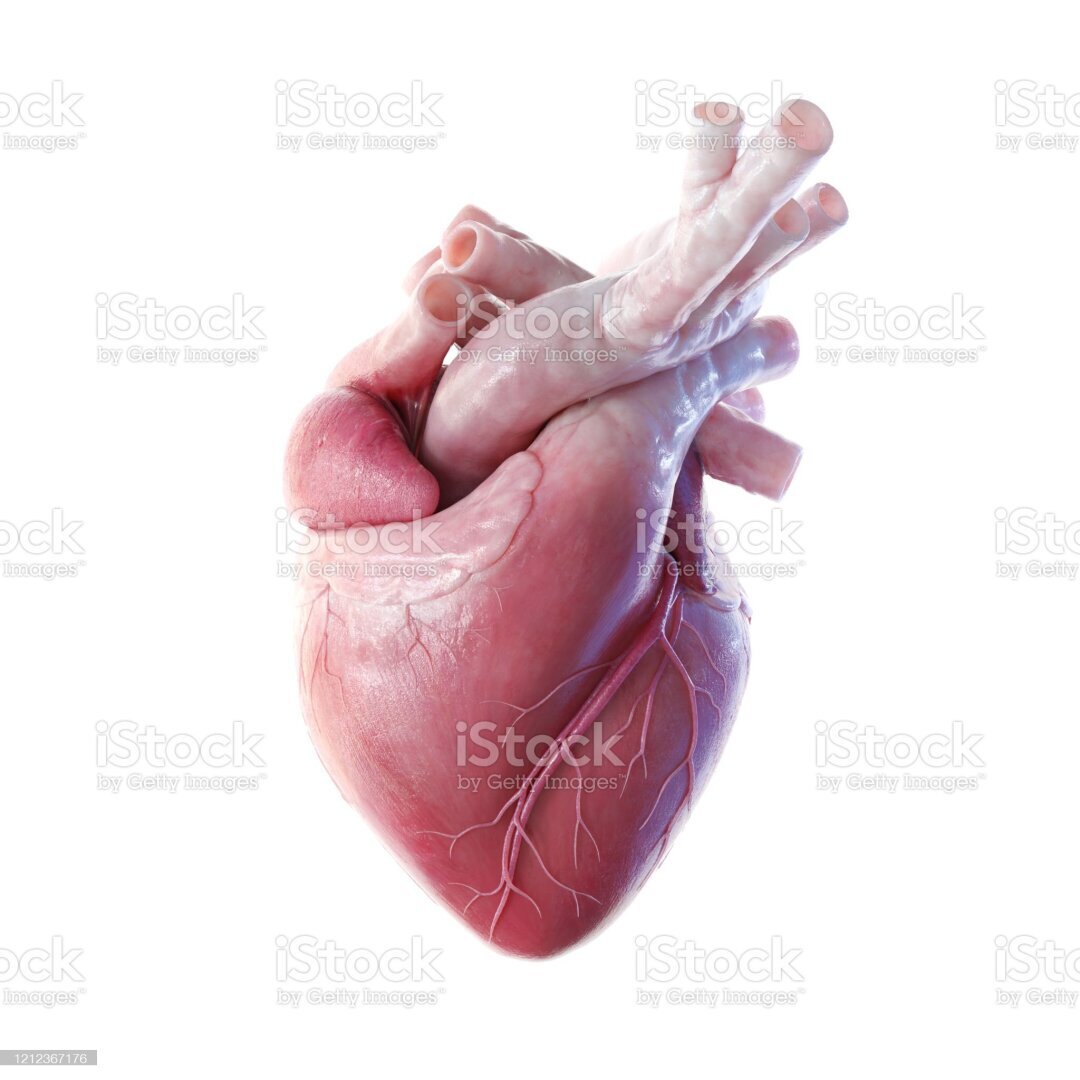 Вы наверняка не знали этого о своем теле