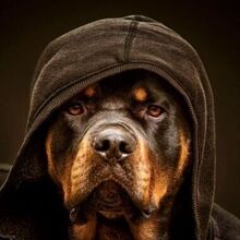 Sanny, г. Санкт-Петербург