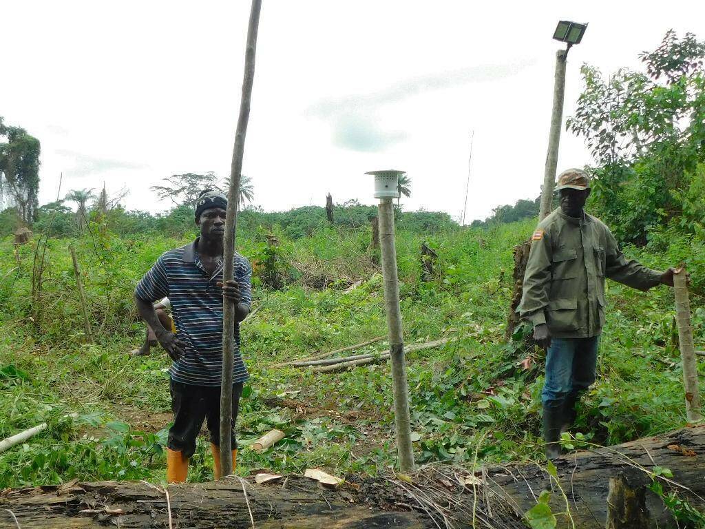 Операция по спасению слонов без укусов