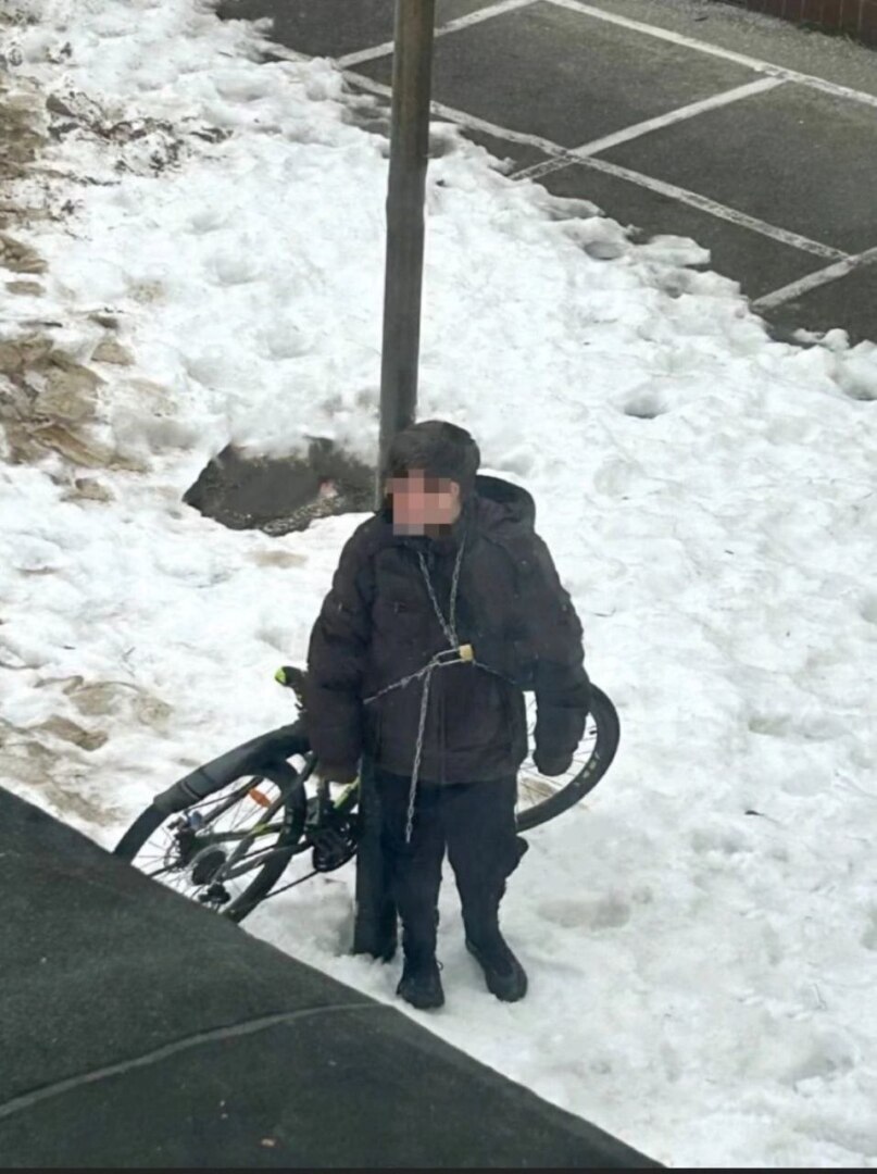 Немного новостей о наших детях