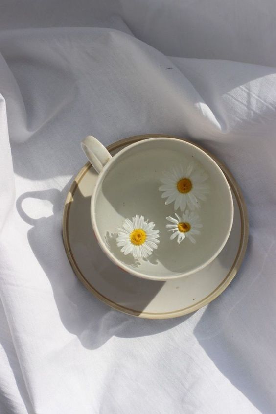 Выбор правильного стиля логотипа для вашего бизнеса