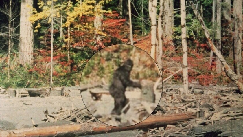 Новый взгляд на снежного человека