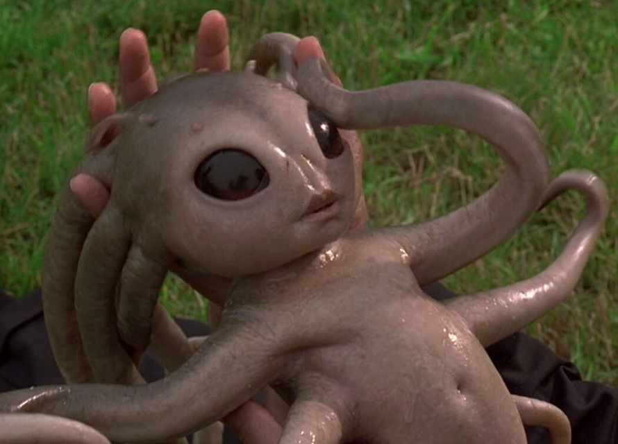 Инопланетяне получили сигнал с земли, но вступать в контакт не стали