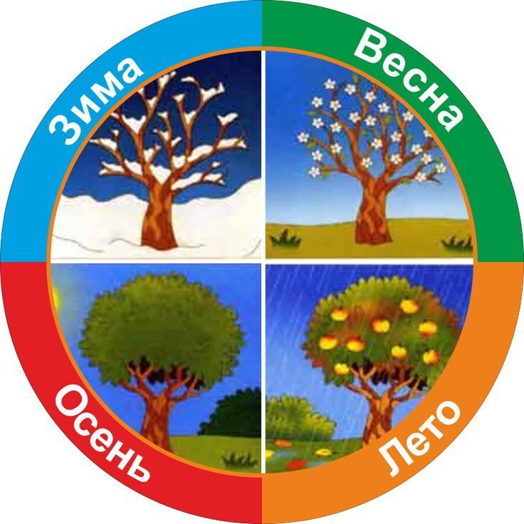 Что если бы на Земле не было времен года?