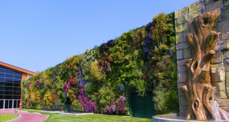 Как вырастить хвойники для вертикального озеленения интерьера