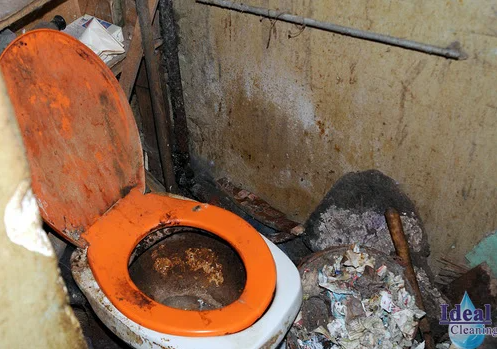 Как одна семья превратила свое жилье в полигон мусора и бытовых отходов