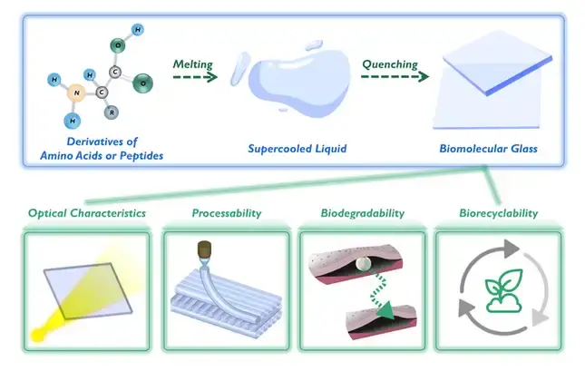 Ученые приблизились к созданию экологичного, биоразлагаемого стекла