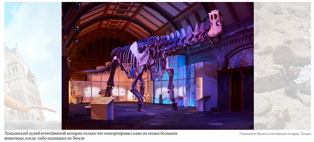 Познакомьтесь с титанозавром: динозавр-гигант впервые выставлен в Европе