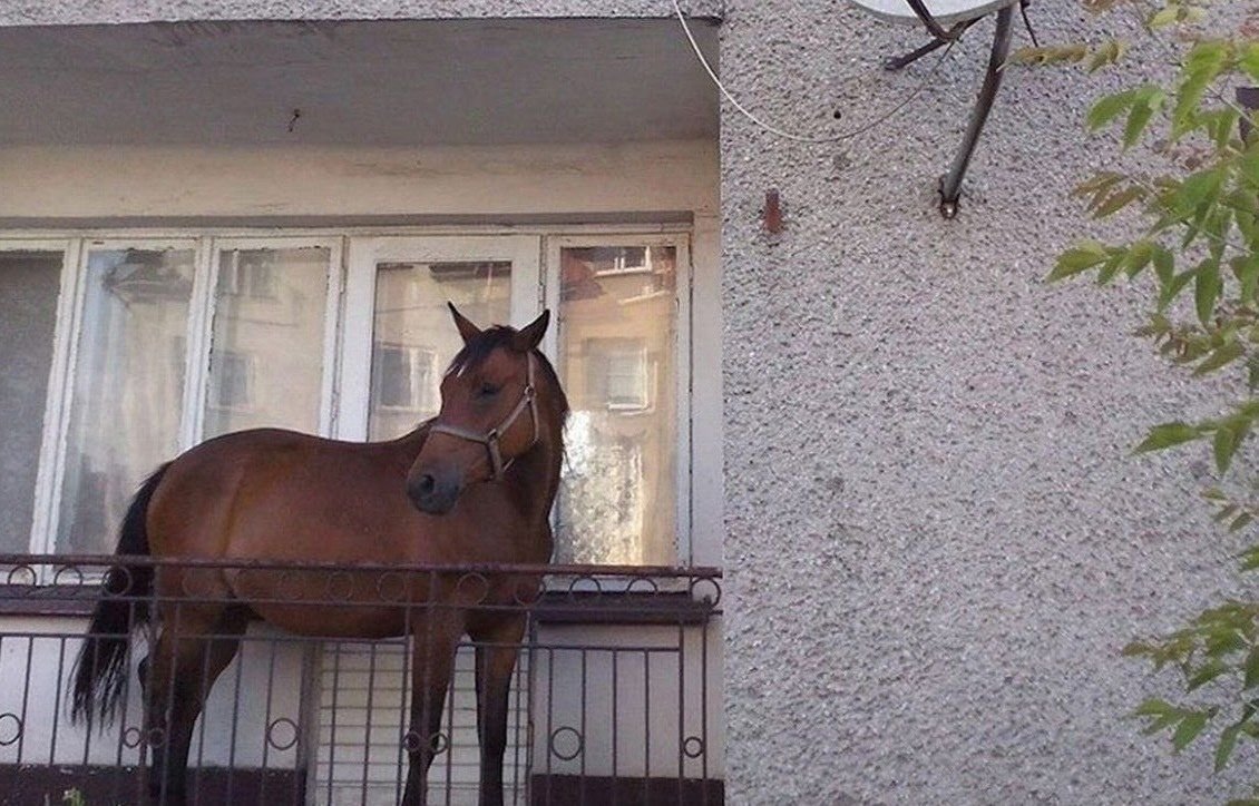 Самые странные вещи, которые люди хранят на балконах – подборка фото