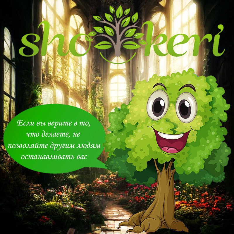 🌱 Где и как лучше покупать дешевые продукты 🌱