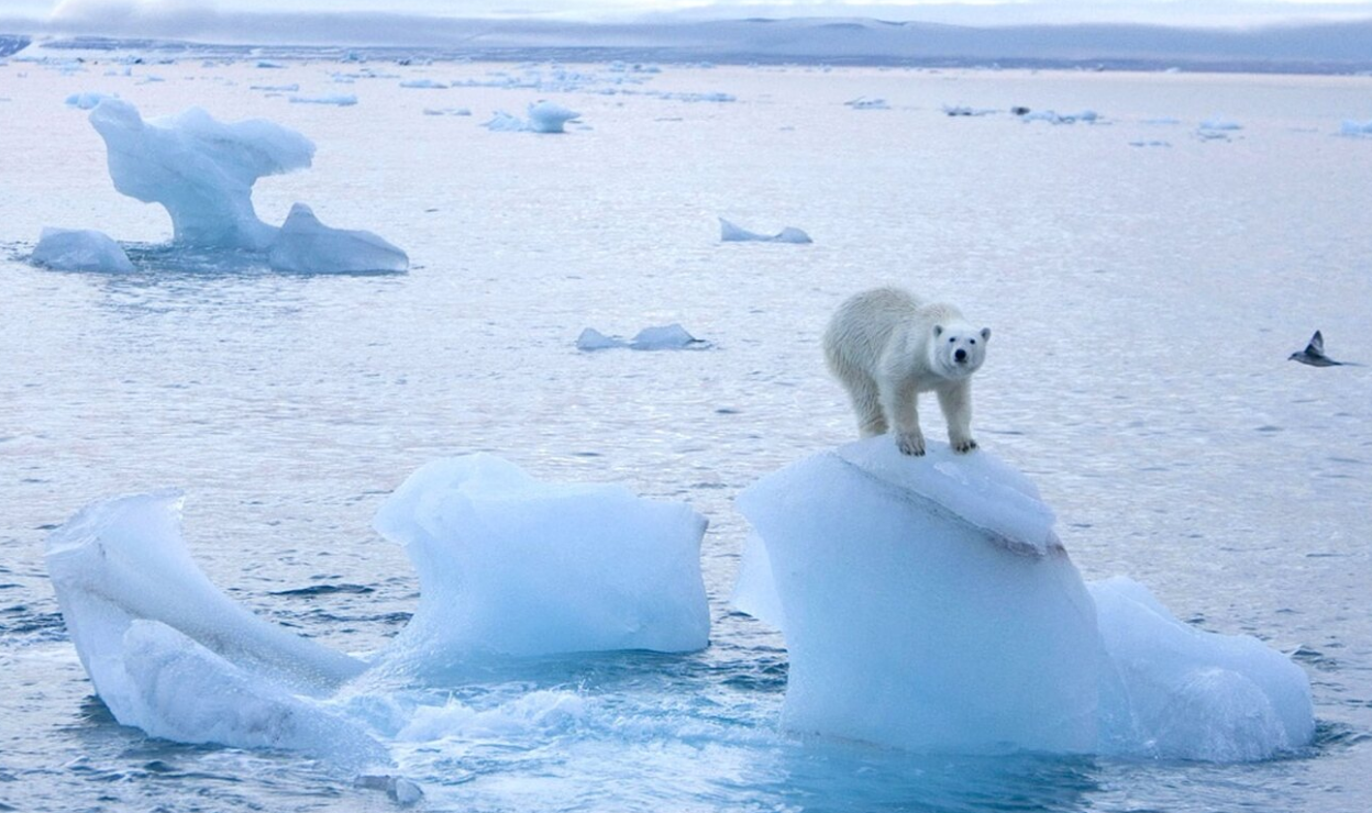Убийца планет. Метеориты .Ледниковый коллапс