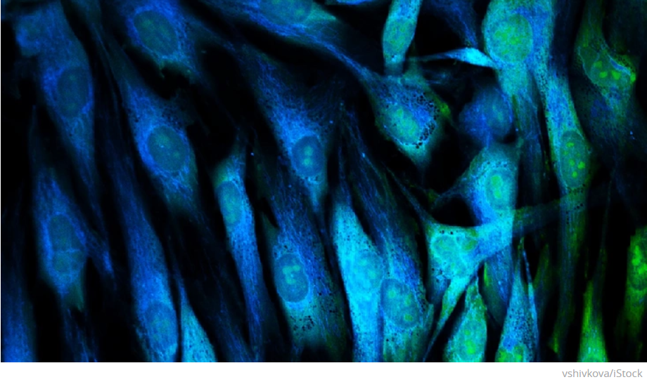 Флуоресцентный микроскоп своими руками