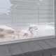 Юридическая социальная сеть