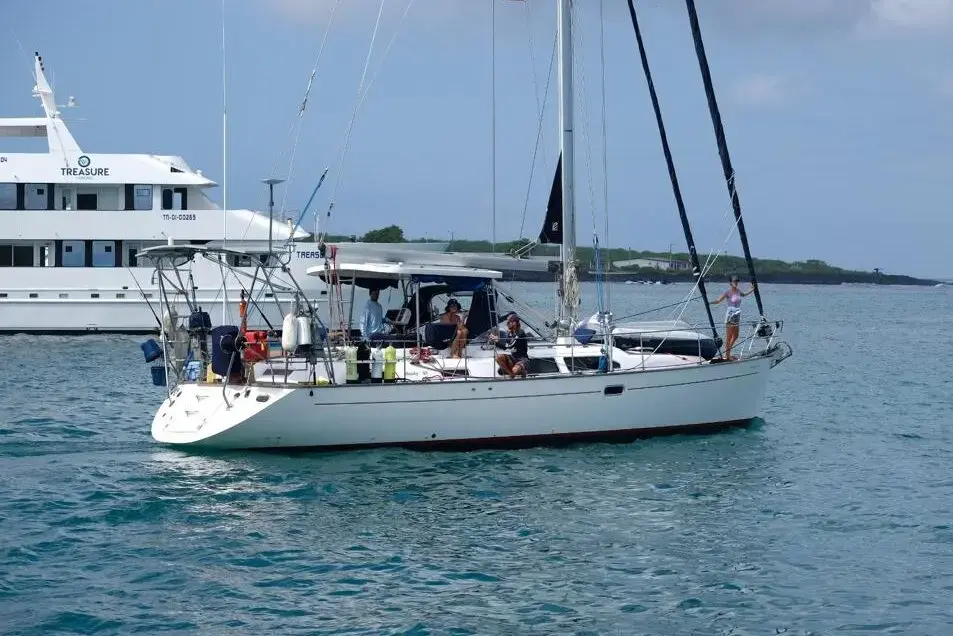 Их лодка столкнулась с китом и затонула. Интернет спас им жизнь.