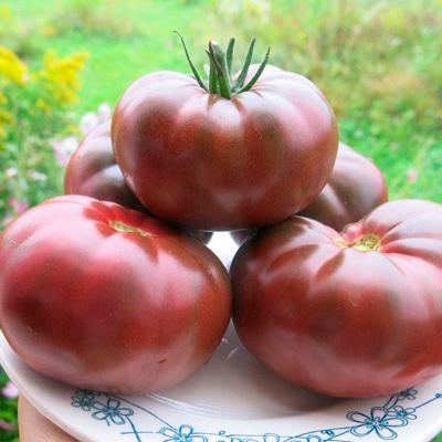 Лучшие сорта крупноплодных томатов, которые я рекомендую всем