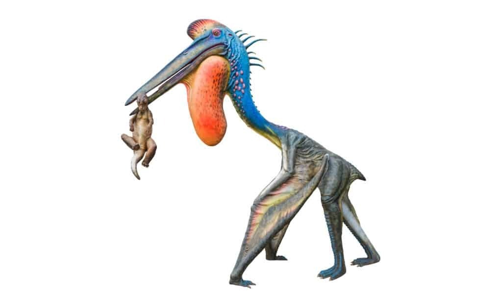 Летающие динозавры.